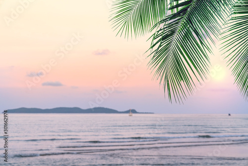 summer sea with leaves palm at sunset and copy space,sky relaxing concept,beautiful tropical background for travel landscape