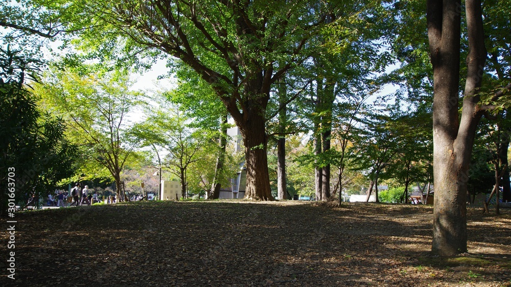 上野恩賜公園の風景