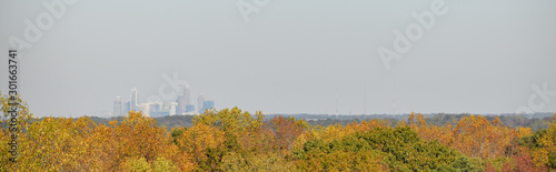 Downtown Charlotte NC Skyline with Fall Colorful Leaves photo