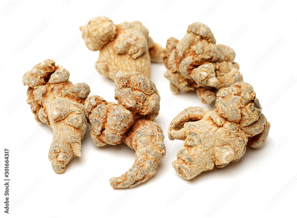 Notoginseng, Chinese traditional medicine on white background Notoginseng, Chinese traditional medicine on white background