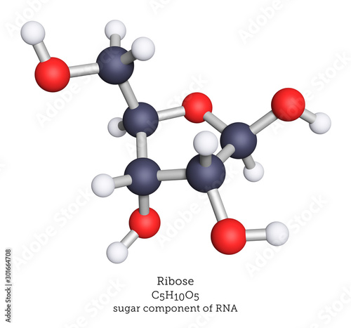 Ribose monosaccharide molecule shown as a ball-and-stick 3d illustration. Ribose is the sugar component of RNA. photo