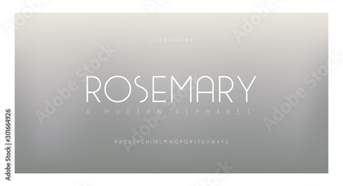 Urban simple alphabet font. Elegant Lettering Fashion Modern Designs. Typography minimal style uppercase and number fonts set. vector illustration