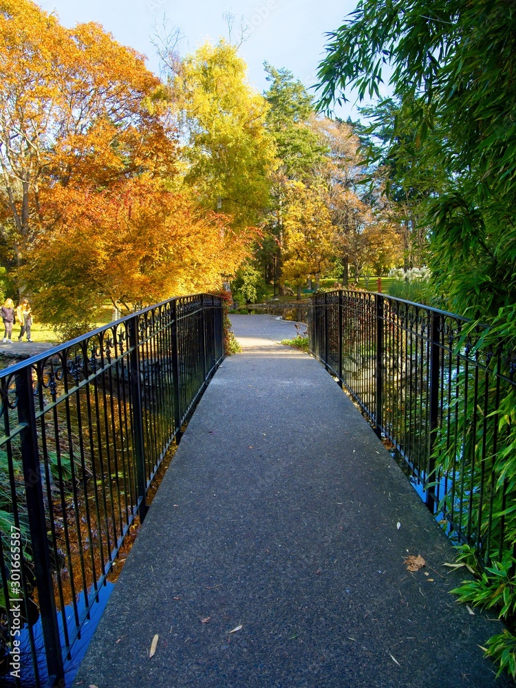 Beacon Hill Park fall