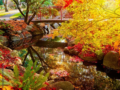 Beacon Hill Park fall photo