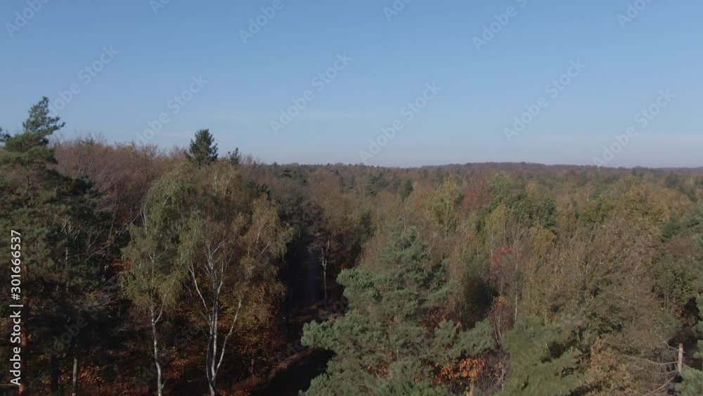 Aerial Forest Bottom to Top Rocket View Autumn Aerial Forest Bottom to Top Rocket View Autumn