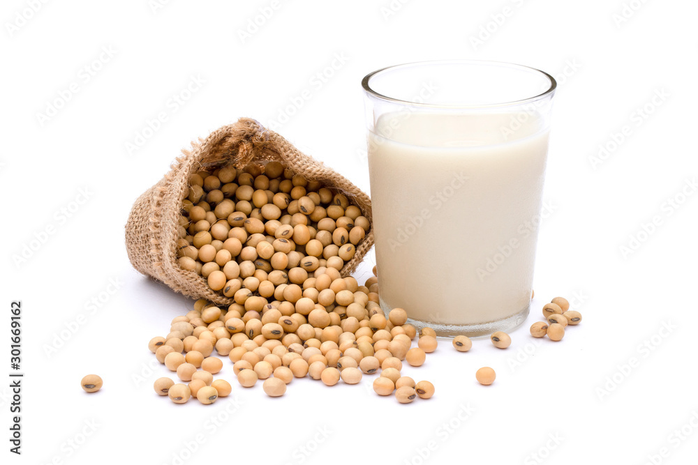 Closeup glass of soy milk and soybeans in sackcloth isolated on white background. Closeup glass of soy milk and soybeans in sackcloth isolated on white background.