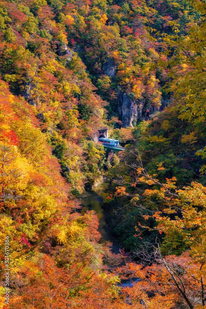 Train runs thru the tunnel cross the Naruko gorge, Miyagi, Tohoku, Japan Train runs thru the tunnel cross the Naruko gorge, Miyagi, Tohoku, Japan