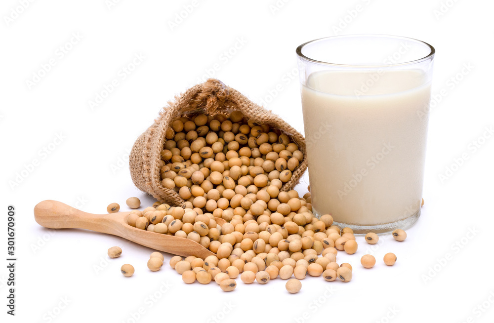Closeup glass of soy milk and soybeans in sackcloth isolated on white background. Closeup glass of soy milk and soybeans in sackcloth isolated on white background.