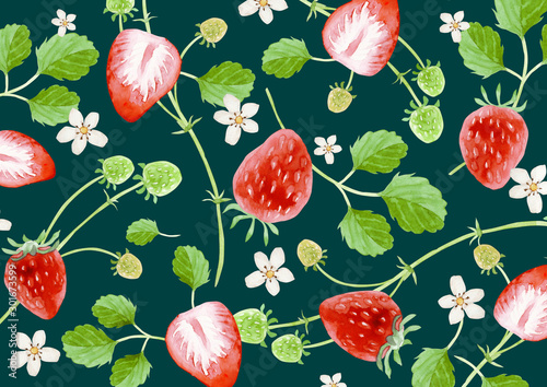 イチゴ 背景 テキスタイル 水彩 イラスト Stock Illustration Adobe Stock イチゴ 背景 テキスタイル 水彩 イラスト Stock Illustration Adobe Stock