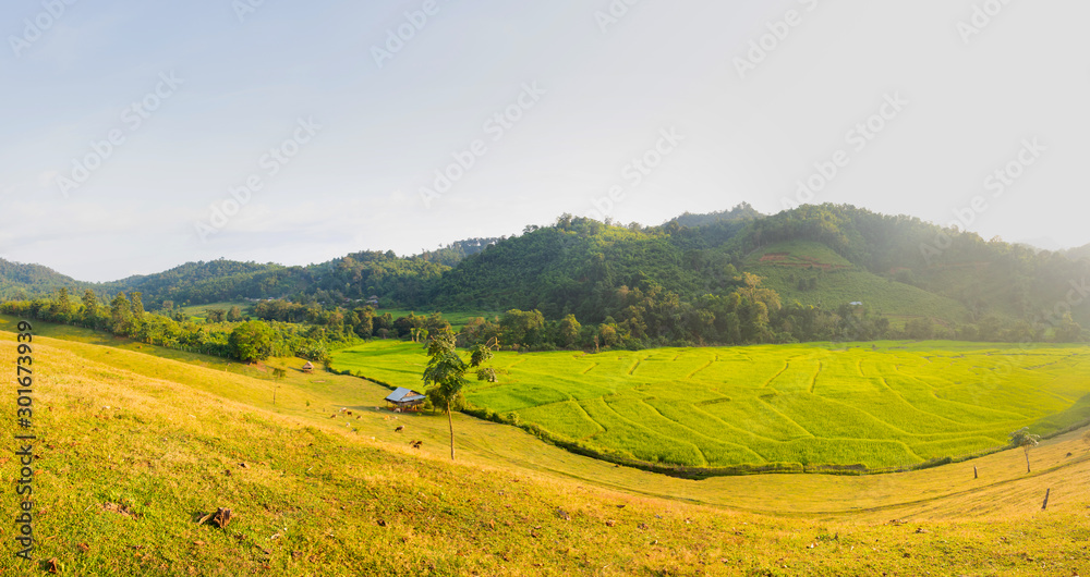 Green field panorama and meadow and Mountain. countryside ,Fresh,good air,Landscape In Thailand. 