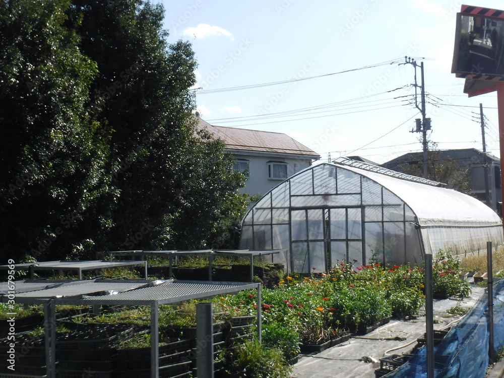 Obraz premium 農業用ビニールハウス ー Agricultural greenhouse