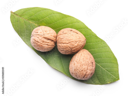 Leaf and tasty walnuts isolated on white