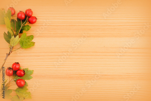 Branch with ripe hawthorn berries on a wooden background. Top view  flat lay