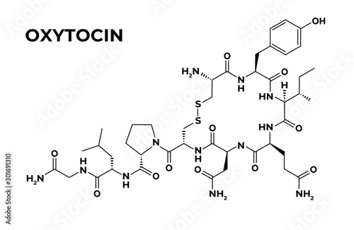  Oxytocin happiness love hormone structural chemical formula photo