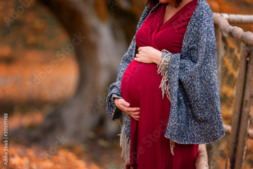 Close up of pregnant woman belly in autumn at the forest. Gravid woman wearing red dress and warm scarf. Pregnancy in fall season concept.