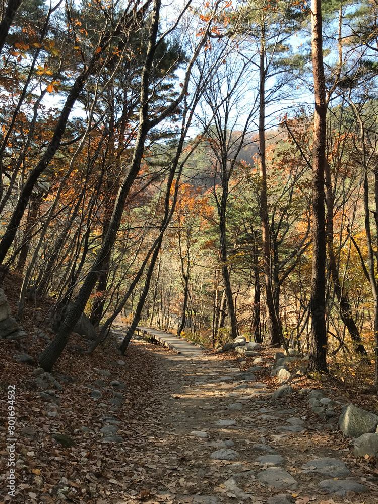 Obraz premium 설악산 