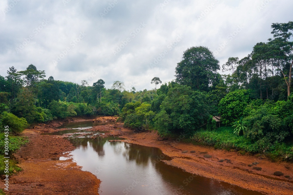 Dried river in middle of the jungle 