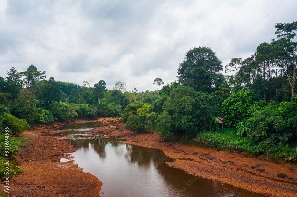 Dried river in middle of the jungle Dried river in middle of the jungle