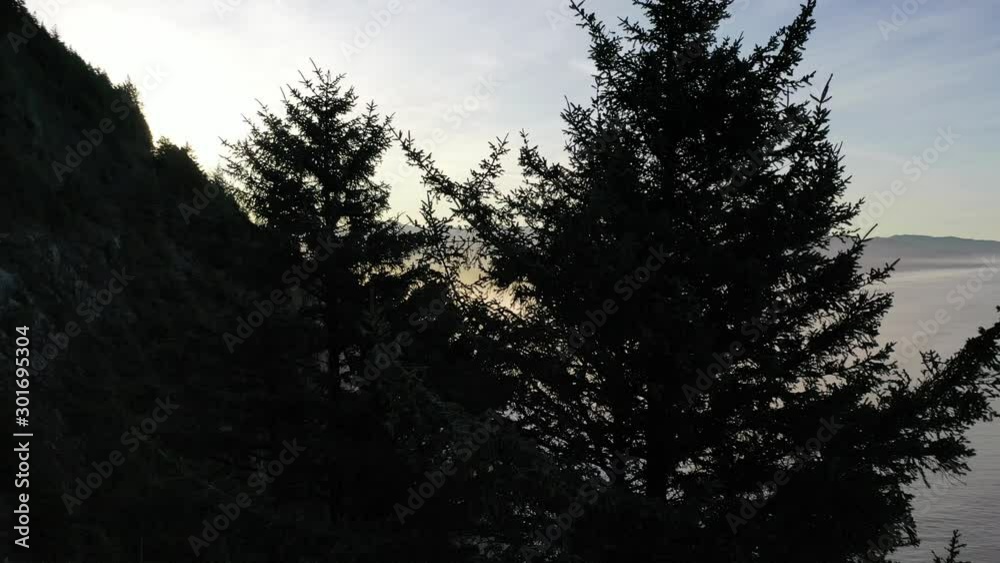 Aerial 4K drone shot rising up over tree tops to reveal beautiful Pacific Northwest coastline in morning Aerial 4K drone shot rising up over tree tops to reveal beautiful Pacific Northwest coastline in morning