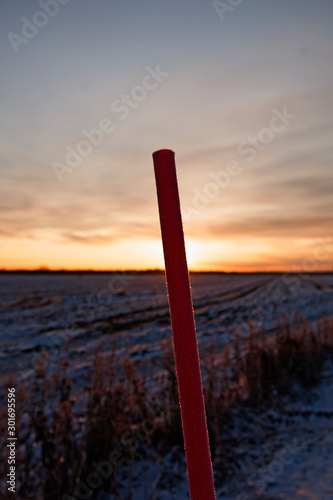 an orange road stick in backlight at the plain