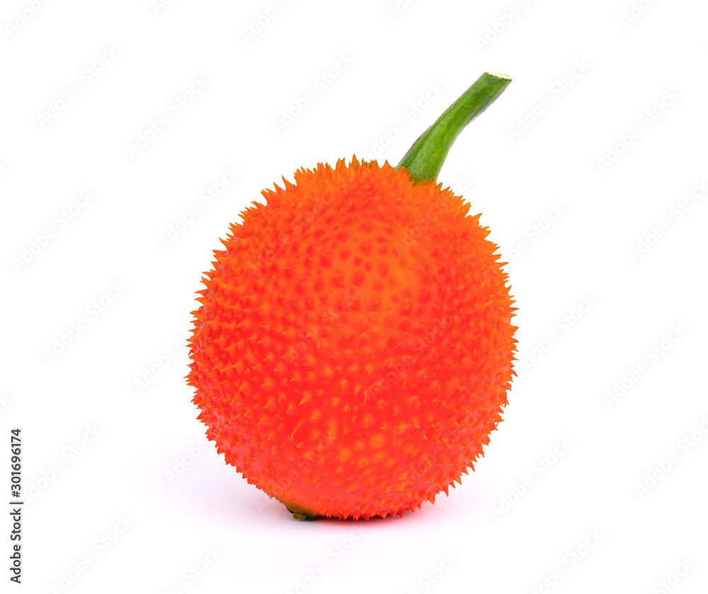 Closeup Gac fruit ( known as Spring Bitter Cucumber, baby jackfruit, sweet grourd, Spiny bitter gourd ,Momordica cochinchinensis ) isolated on white background. Tropical healthy medicine plant concept Closeup Gac fruit ( known as Spring Bitter Cucumber, baby jackfruit, sweet grourd, Spiny bitter gourd ,Momordica cochinchinensis ) isolated on white background. Tropical healthy medicine plant concept