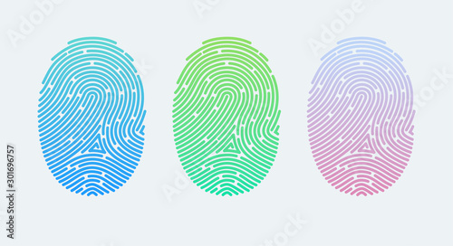 Fingerprints. Cyber security concept. Digital security authentication concept. Biometric authorization. Identification. Vector illustration of the fingerprint of different colors on a white background