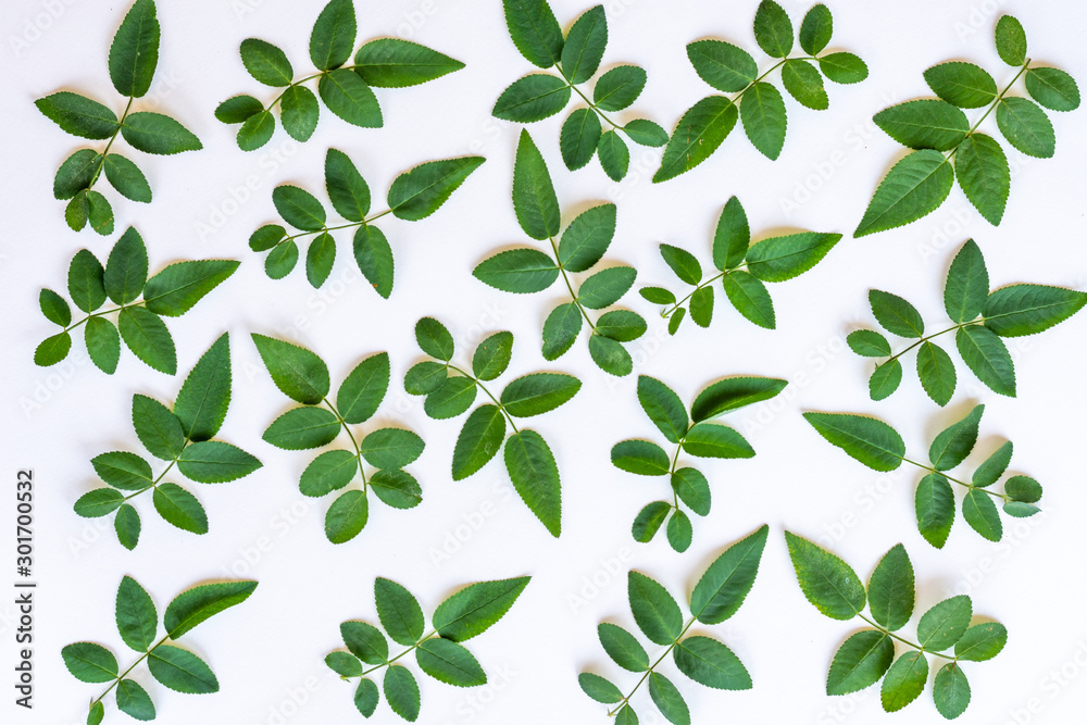 seamless background with green leaves seamless background with green leaves
