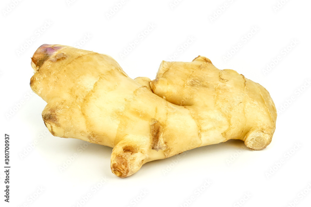 Fresh ginger root or rhizome isolated on white background, Ingredients of herbs for healing and healthy food or Natural therapy concept Fresh ginger root or rhizome isolated on white background, Ingredients of herbs for healing and healthy food or Natural therapy concept