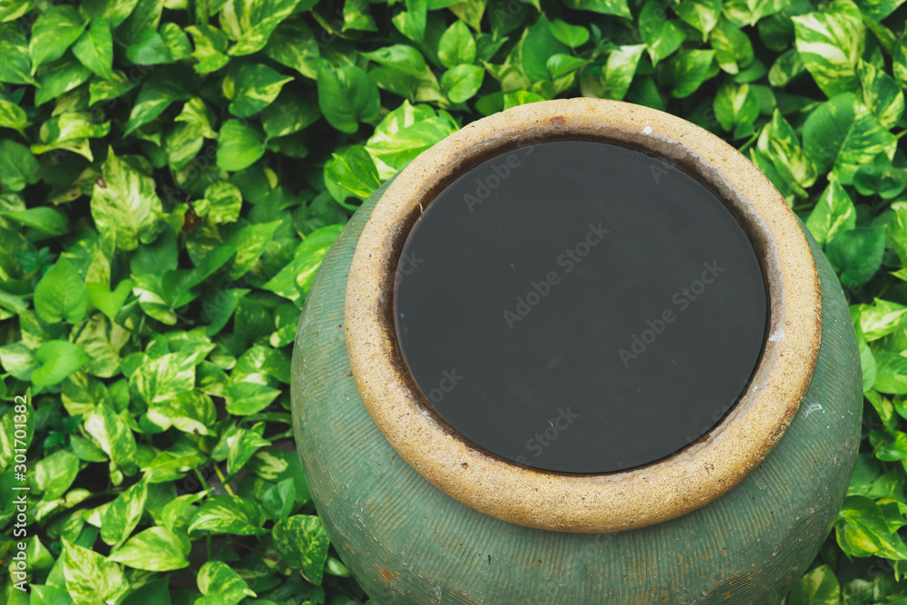 The old Thai jar in the garden The old Thai jar in the garden