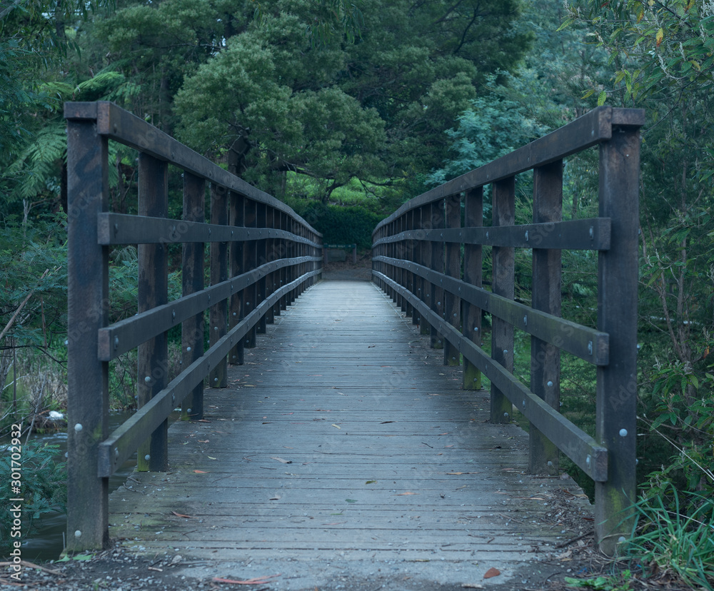 wooden bridge in the forest