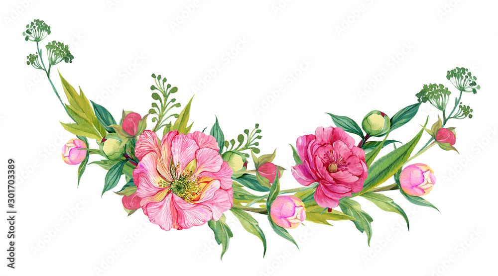 flowers branch peonies, watercolor illustration on isolated white background