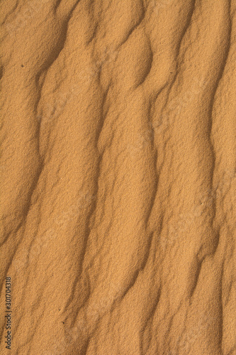 Sand texture is from dune. Vertical view.