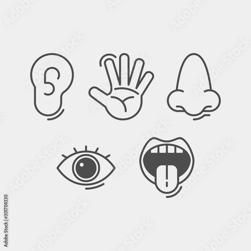 Sense organs flat vector icons. Touch, taste, hearing, vision, smell flat vector icons