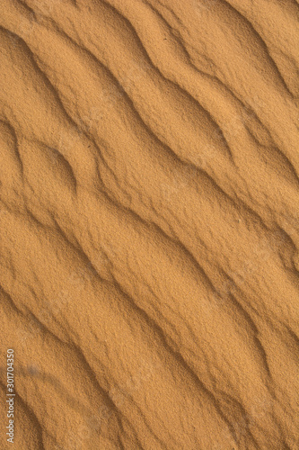 Sand texture is from dune. Angle view.