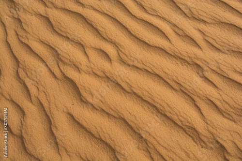 Sand texture is from dune. Wave and curve line.