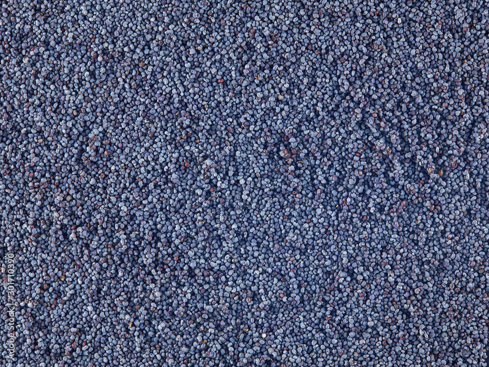 Poppy seeds. Top view. Texture and background. Poppy seeds. Top view. Texture and background.