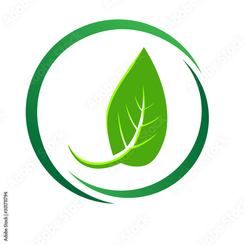 Leaf green logos vector