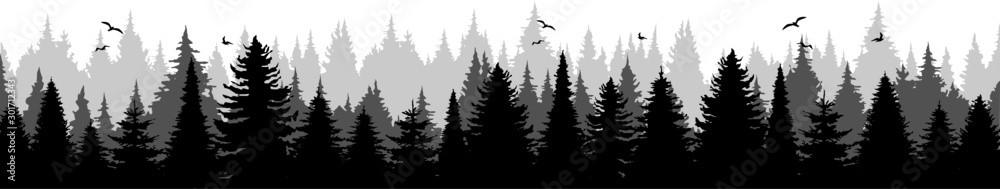 Conifer Tree Forest Landscape Vector Silhouette