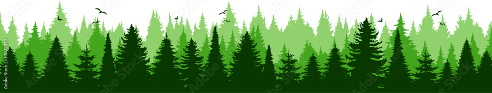 Obraz premium Conifer Tree Forest Landscape Vector Silhouette