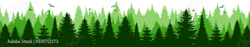 Conifer Tree Forest Landscape Vector Silhouette © SimpLine