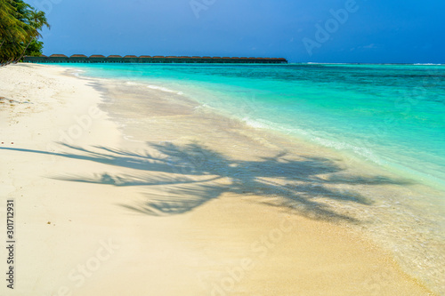 Fototapeta Naklejka Na Ścianę i Meble -  Shadows of palm trees on the sandy seashore of tropical paradise
