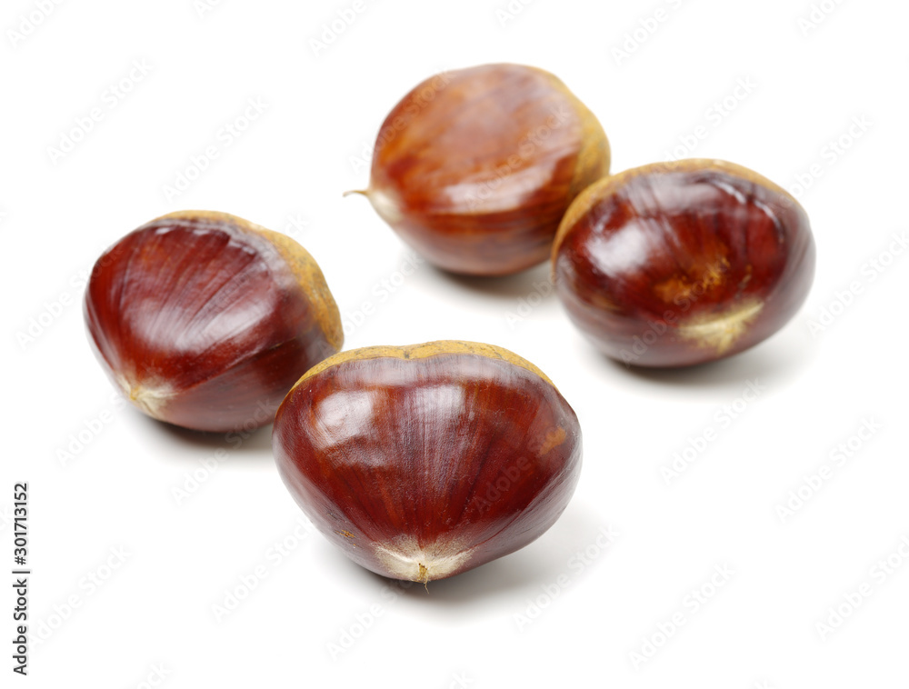 Sweet chestnut on white background Sweet chestnut on white background