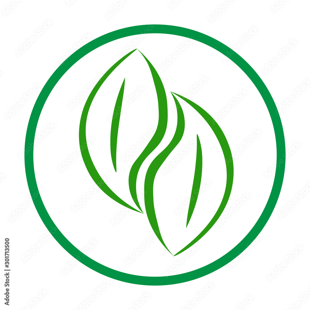 vector illustration of leaf vector illustration of leaf