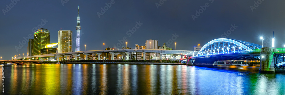 Cityscape of Tokyo skyline, panorama view of office building at Sumida river in Tokyo in the evening. Japan, Asia. - obrazy, fototapety, plakaty 