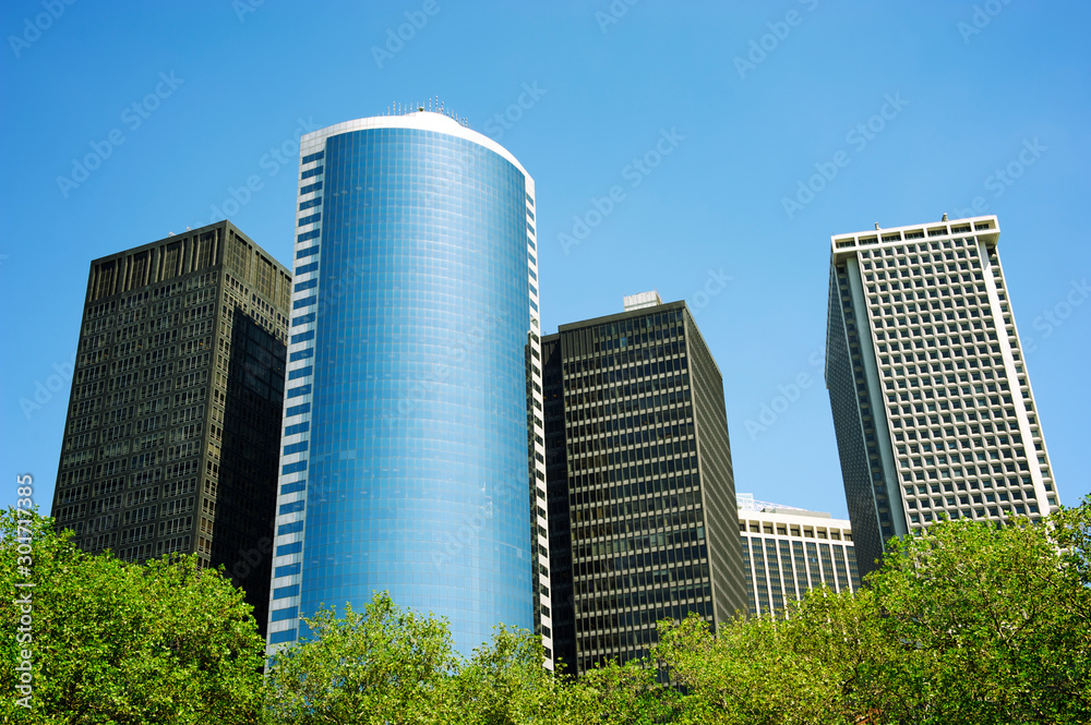 Bright blue sky view of skyscrapers rising above the tops of summer green trees 