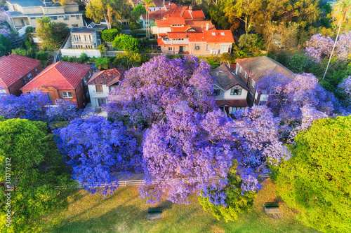 Photography D Jacaranda Kirrib Side no sky