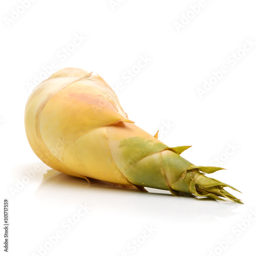 Bamboo shoot on the white background 