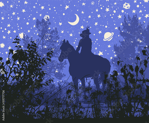 Woman on a horse ride in nature. Silhouettes on the background of the night starry sky. Vector Illustration.