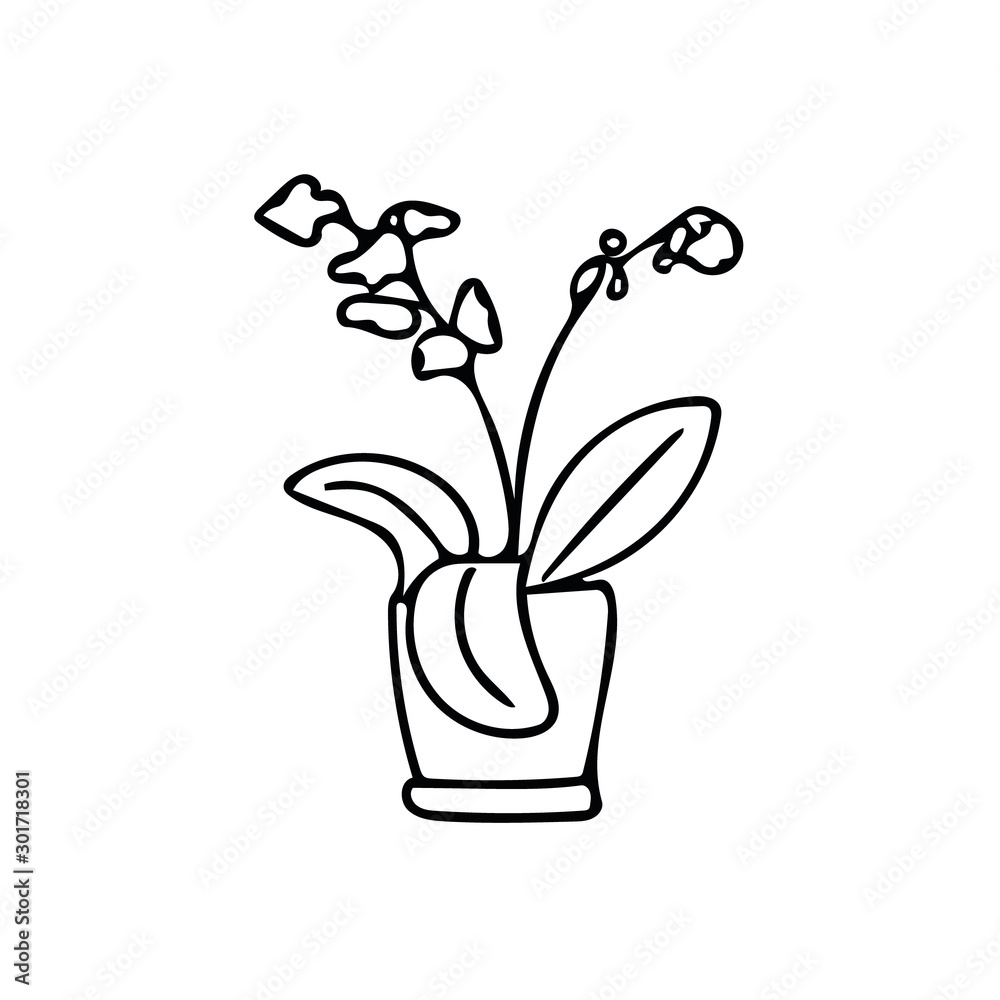 orchid plant and flowers in pot. element in hand drawn style. simple liner doodle scandinavian. orchid plant and flowers in pot. element in hand drawn style. simple liner doodle scandinavian.