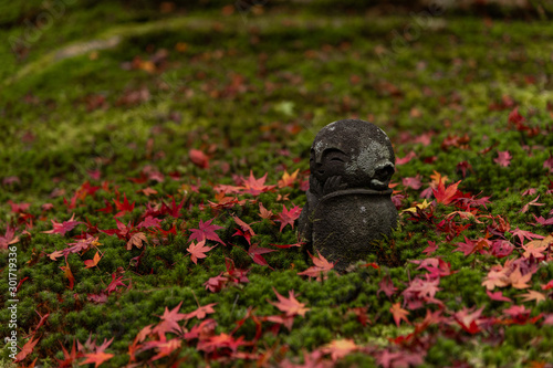 日本 京都 圓光寺の紅葉と秋の景色